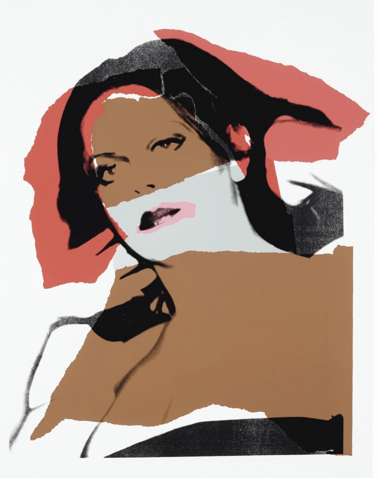 Andy Warhol - Ladies and Gentleman (Vicky Peters)