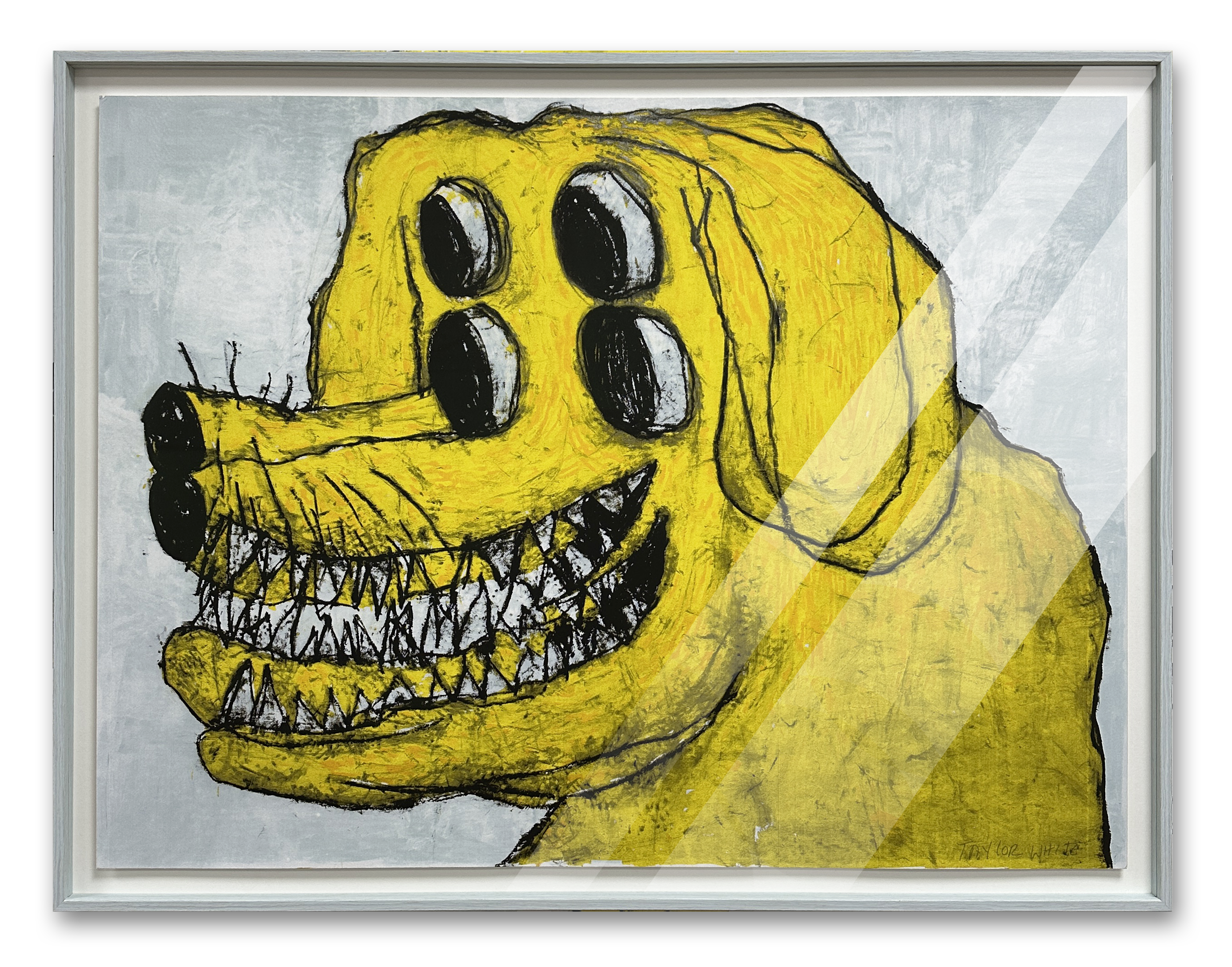 Taylor Anton White - Both Dawgz