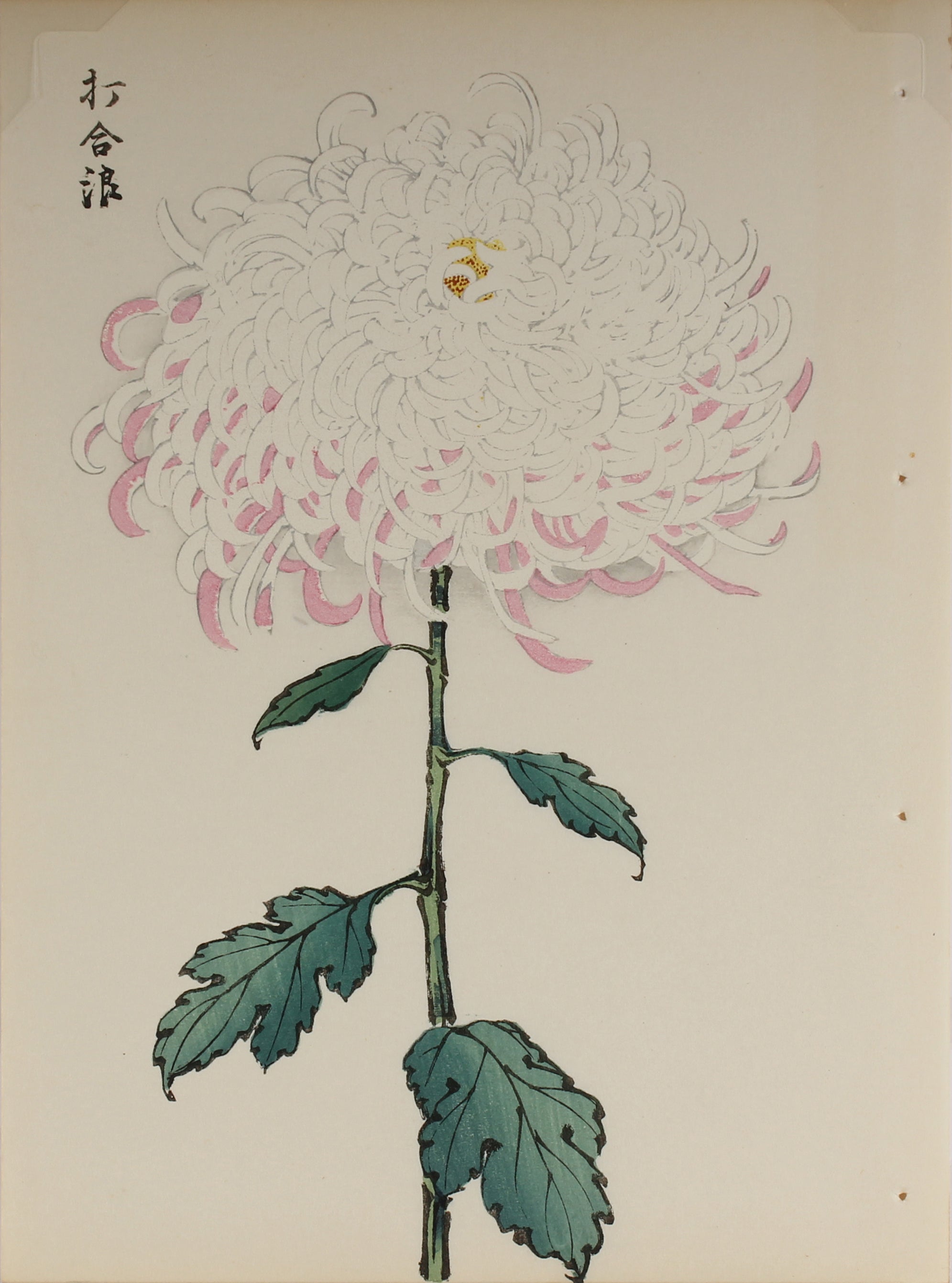 100 chrysanthemums by Keika - p30