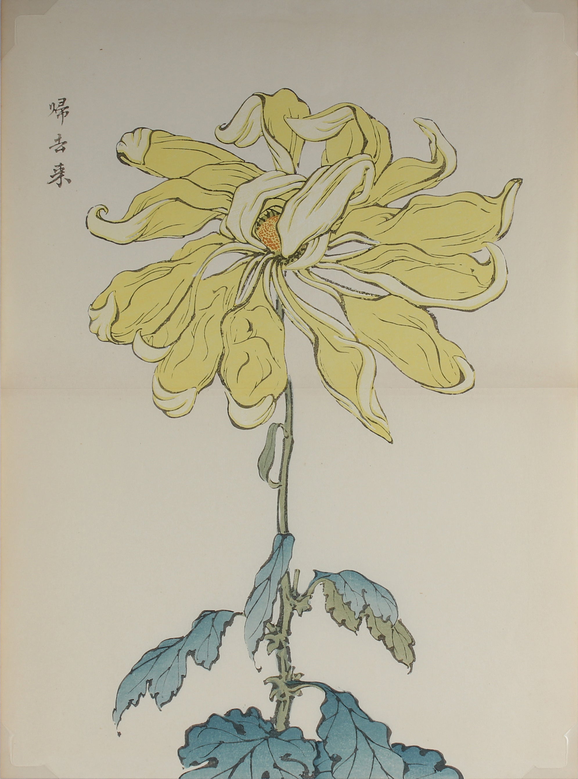100 chrysanthemums by Keika - p67